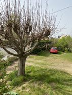 Photo n°3
