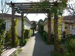 Photo n°9