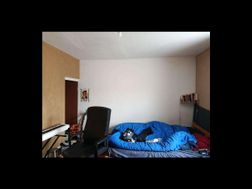 Photo n°6