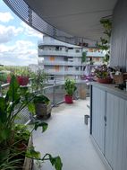 Photo n°6