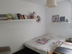 Photo n°5