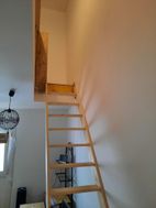 Photo n°6