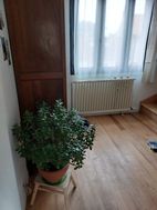 Photo n°4