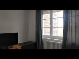 Photo n°5