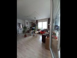 Photo n°1