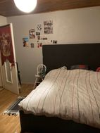 Photo n°3
