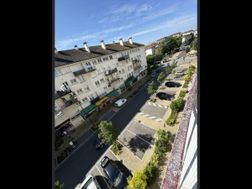 Photo n°3