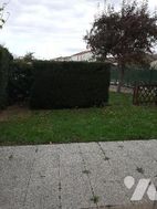 Photo n°1
