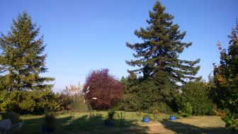Photo n°6