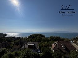 Photo n°2