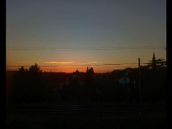 Photo n°13