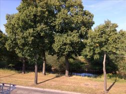 Photo n°4