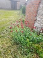 Photo n°6