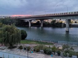 Photo n°8