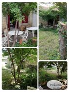 Photo n°3