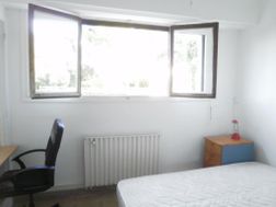 Photo n°2