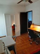 Photo n°4