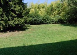 Photo n°15