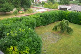 Photo n°6