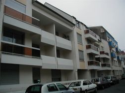 Photo n°1