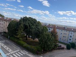 Photo n°8