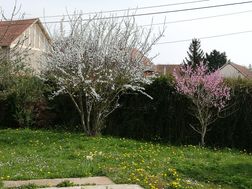 Photo n°8