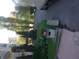 Photo n°1