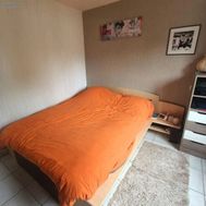 Photo n°6