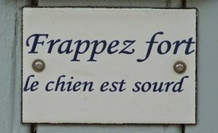 Photo n°9