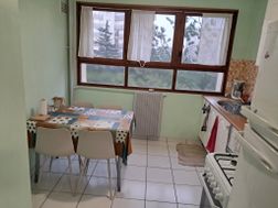 Photo n°1
