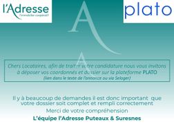 Photo n°6