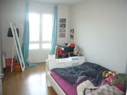 Photo n°4