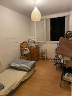 Photo n°1