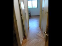 Photo n°6