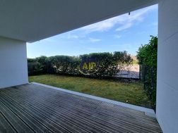 Photo n°4
