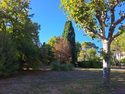 Photo n°5