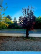 Photo n°8