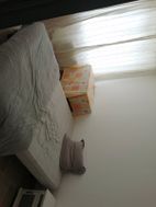 Photo n°3