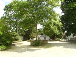 Photo n°2