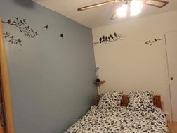 Photo n°16