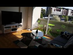 Photo n°4