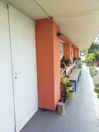 Photo n°4