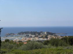 Photo n°1