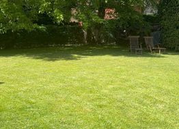 Photo n°3