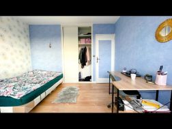 Photo n°4