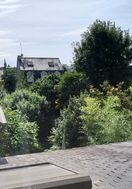 Photo n°4