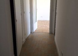 Photo n°4