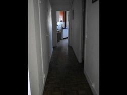 Photo n°4