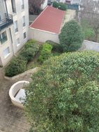 Photo n°6