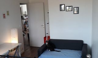 Photo n°4